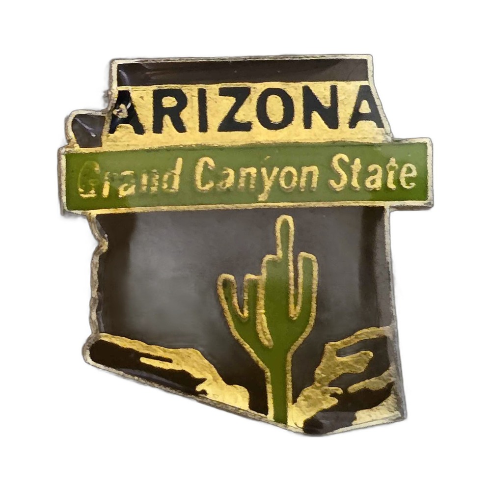 Vintage Arizona Cactus Souvenir Lapel Vest Hat Pin J24